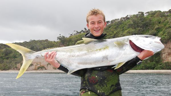 Gone Fishin - Blue Fin Tuna on Spear