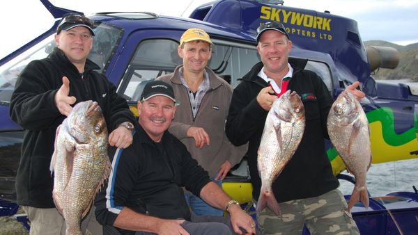 Gone Fishin - French Pass Snapper