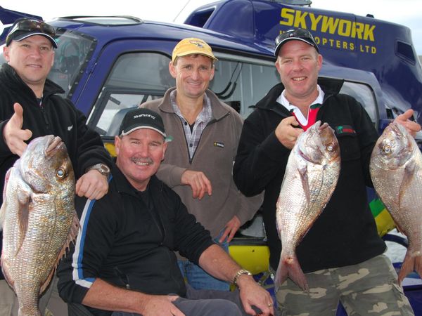 Gone Fishin - French Pass Snapper