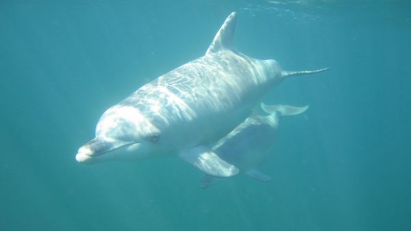 Gone Fishin - Kaikoura