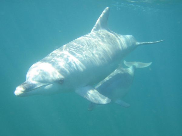 Gone Fishin - Kaikoura