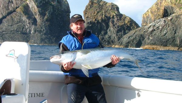 Gone Fishin - Soft Bait Fishing