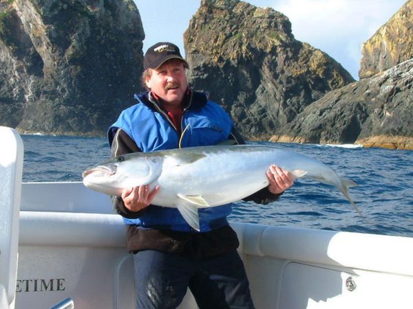 Gone Fishin - Soft Bait Fishing