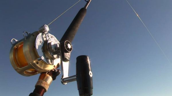 Gone Fishin - Blue Fin Tuna, Greymouth & Westport