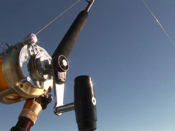 Gone Fishin - Blue Fin Tuna, Greymouth & Westport