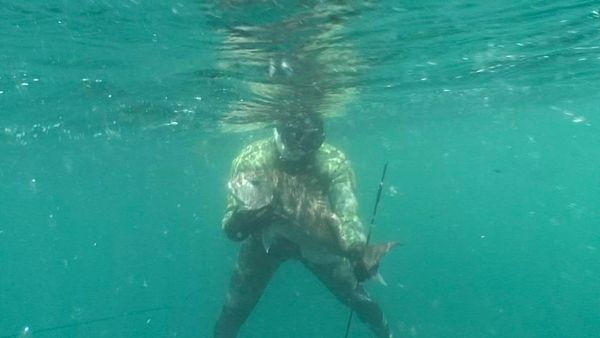 Gone Fishin - Crayfish