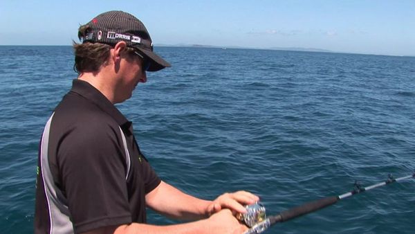 Gone Fishin - Sunshine Coast, Australia