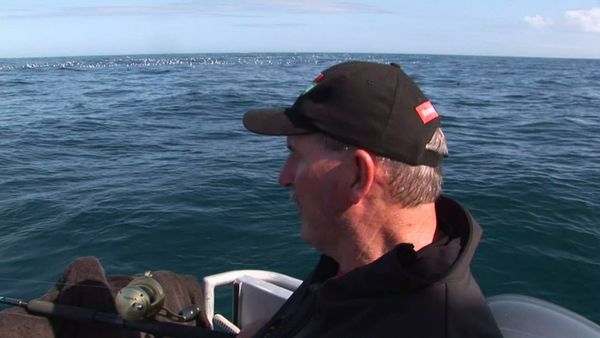 Gone Fishin - Great Barrier Island & Outer Gulf