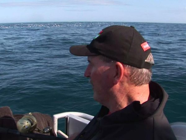 Gone Fishin - Great Barrier Island & Outer Gulf