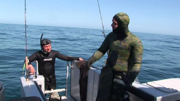 Gone Fishin - Great Barrier Island & Outer Gulf