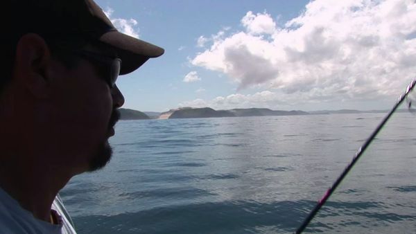 Gone Fishin - South Westland and Jackson’s Bay