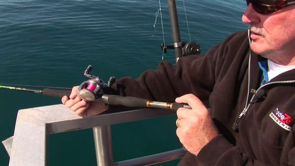Gone Fishin - Diversity Charters