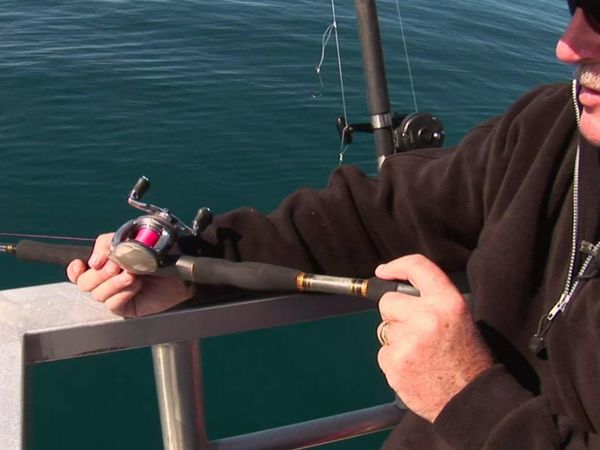 Gone Fishin - Diversity Charters