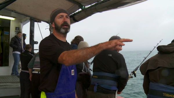 Gone Fishin - Wellington