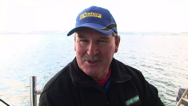 Gone Fishin - Kaipara Harbour