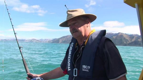 Gone Fishin - Kaikoura