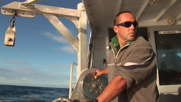 Gone Fishin - Akaroa