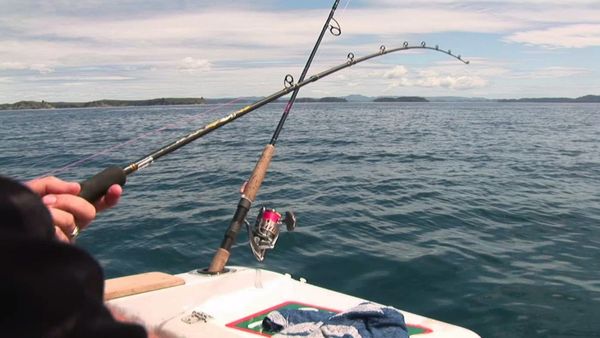 Gone Fishin - Hauraki Gulf