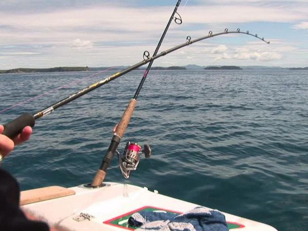 Gone Fishin - Hauraki Gulf