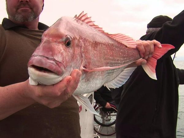Gone Fishin - Diversity
