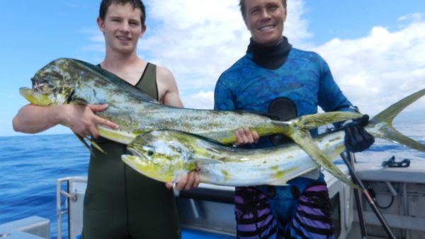 Gone Fishin - Bay of Islands