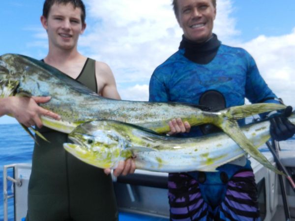 Gone Fishin - Bay of Islands