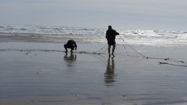 Gone Fishin - Coromandel