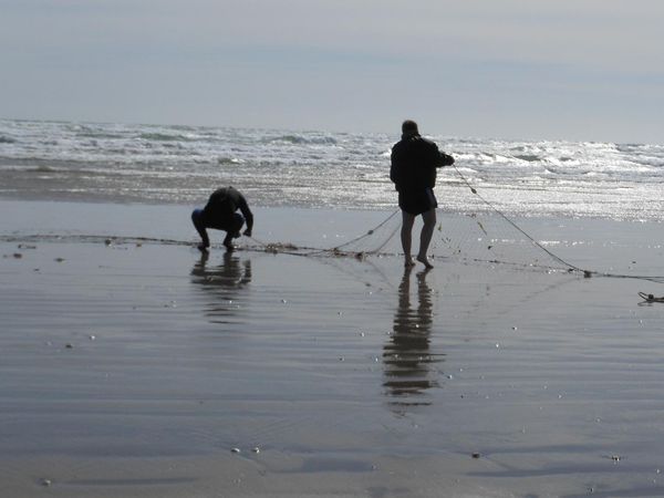 Gone Fishin - Coromandel