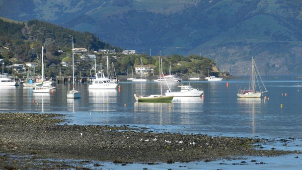 Gone Fishin - Bay of Islands