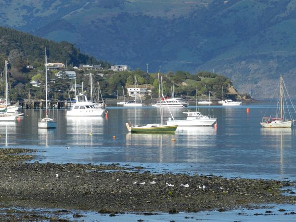 Gone Fishin - Bay of Islands