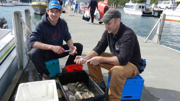 Gone Fishin - Century Batteries Beach & Boat Fishing Competition