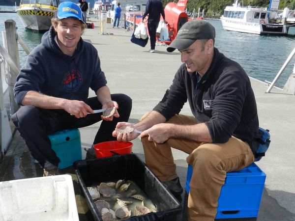 Gone Fishin - Century Batteries Beach & Boat Fishing Competition