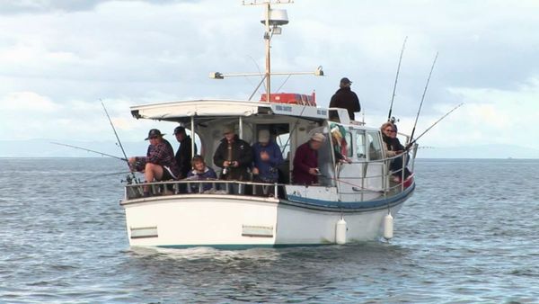 Gone Fishin - Auckland's Hauraki Gulf