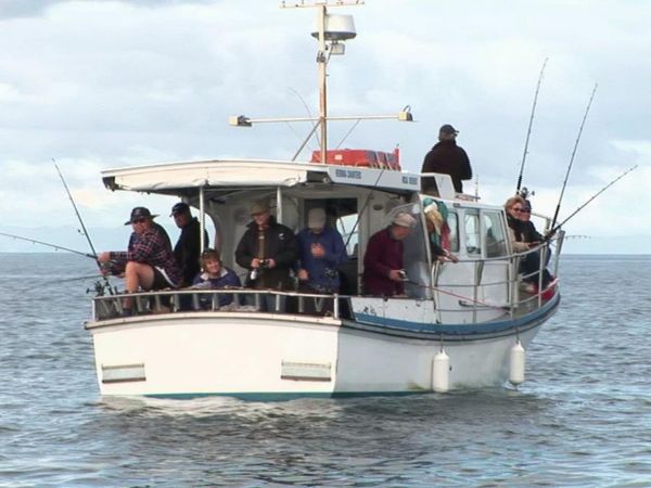 Gone Fishin - Auckland's Hauraki Gulf