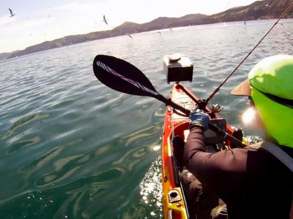 Gone Fishin - Kayaking the Coromandel
