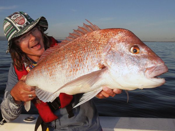 Big Angry Fish - Episode 6
