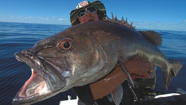 Big Angry Fish - Episode 8