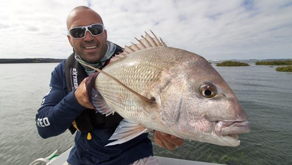 Big Angry Fish - Episode 4