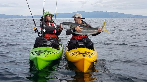 Big Angry Fish - North Cape