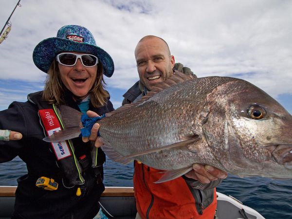 Big Angry Fish - Mayor Island Snapper