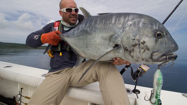 Big Angry Fish - Vanuatu Reefs