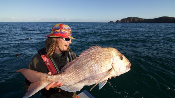 Big Angry Fish - Savoy