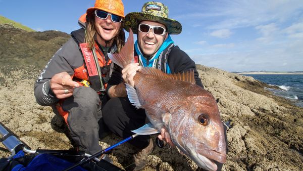 Big Angry Fish - Campervan Show