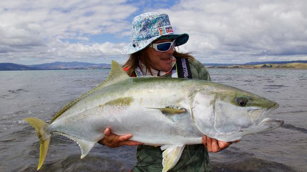 Big Angry Fish - North Island-wide Bite Time