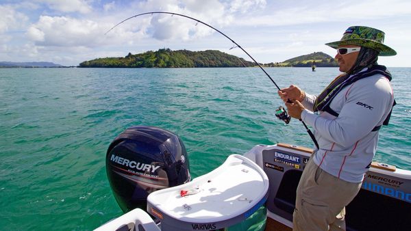 Big Angry Fish - A Mixed Bag