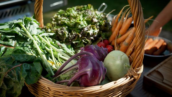 Deutschland grillt - Feuer und Flamme für grenzenlosen Genuss - Veggie Verwandlung - Gemüse satt & sexy
