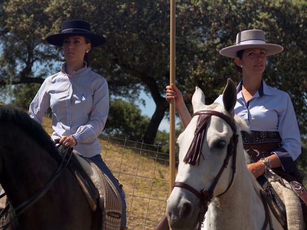 Geo-Reportage - Andalusien - Edle Pferde, wilde Stiere