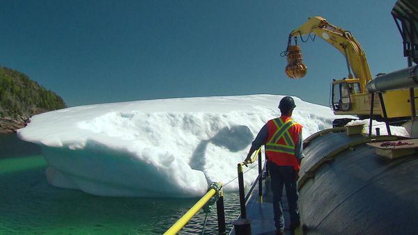 Geo-Reportage - Die Eisjäger von Neufundland