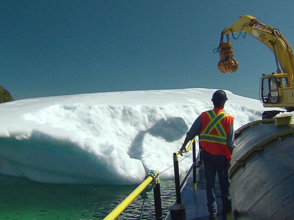 Geo-Reportage - Die Eisjäger von Neufundland