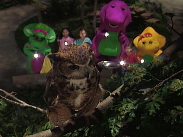 Barney & Friends - Day and Night